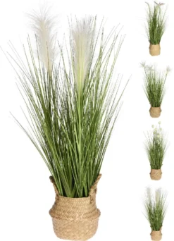 PLANTA CON FLOR Y CESTA DE MIMBRE SURTIDO