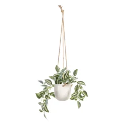 Planta Decorativa 24 X 35 X 25 Cm Blanco Verde PVC