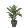 Planta Artificial STAN Marca MYCA