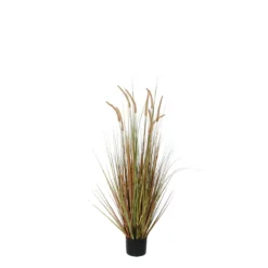 Planta Artificial DOGTAIL Marca MYCA