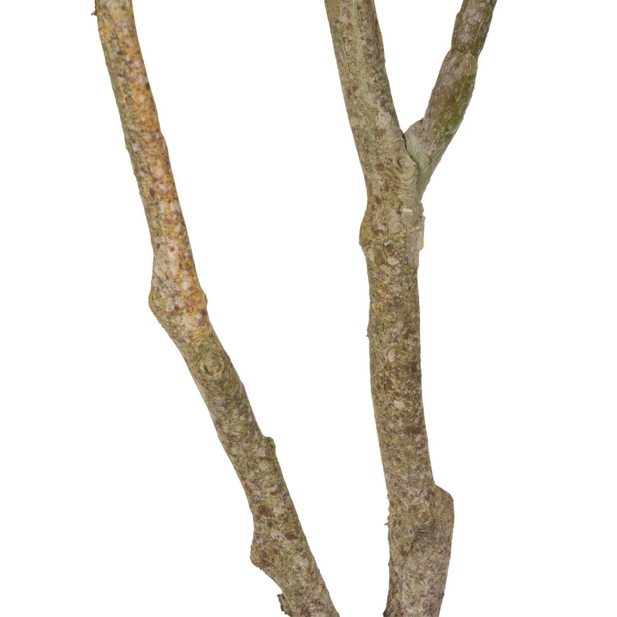 Planta Decorativa 116 Cm Verde PVC Roble - Imagen 5