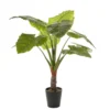 Planta Artificial TARO Marca MYCA