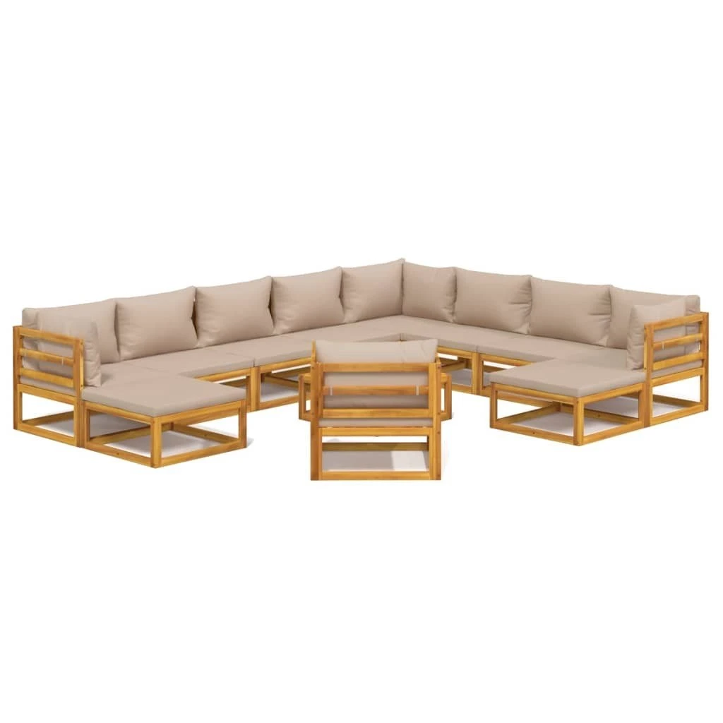 Set Muebles Jardín 12 Pzasy Cojines VidaXL