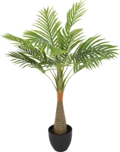 PLANTA PALMERA