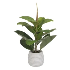 Planta Decorativa Verde PVC Roble 58 Cm