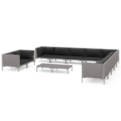 Set Muebles Jardín 12 Pzas Cojines Ratán Sintético Gris Oscuro VidaXL