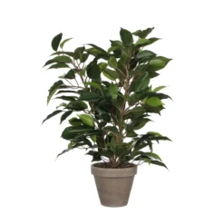 Planta Artificial FICUS Verde Oscuro Marca MYCA
